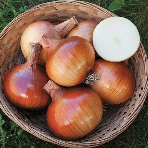 Onions