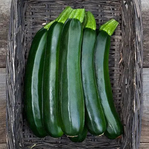 Green Zuccini