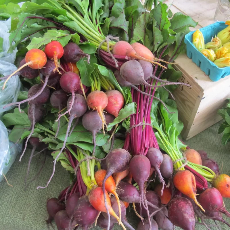 Garden Fresh Vegetables